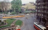 Sofia 1981